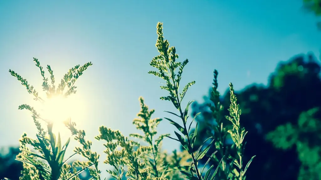 Lifestyle-Thema Regeneration: Schlaf und Stress